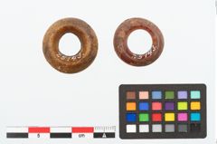 Foto von Bernsteinringperle (NHMW-PRAE-025143)
